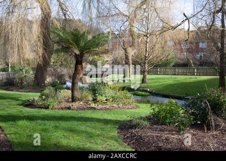 Ein Flusslauf in Winchester, Großbritannien Stockfoto