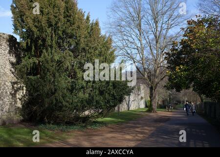 Ein Flussspaziergang durch Wolvesey Castle in Winchester, Großbritannien Stockfoto