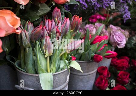 Blumensträuße aus rosafarbenen Rosen und roten Tulpen in großen Zinkeimer zum Verkauf in einem Laden. Stockfoto