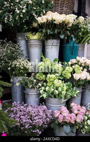 Blumensträuße aus rosafarbenen Rosen und roten Tulpen, grüne Hydrangea in Pastellfarben in großen Zinkeimer zum Verkauf im Laden. Stockfoto