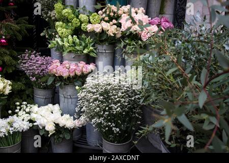 Blumensträuße aus rosafarbenen Rosen und roten Tulpen, grüne Hydrangea in Pastellfarben in einem großen Zinkeimer zum Verkauf im Laden. Stockfoto