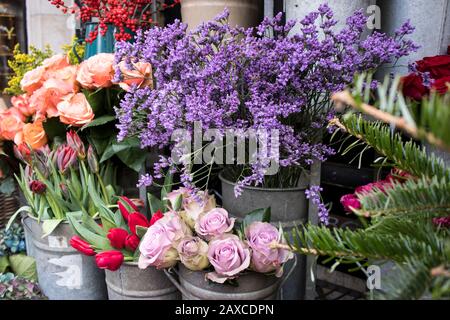 Blumensträuße aus rosafarbenen Rosen und roten Tulpen, grüne Hydrangea in Pastellfarben in einem großen Zinkeimer zum Verkauf im Laden. Stockfoto