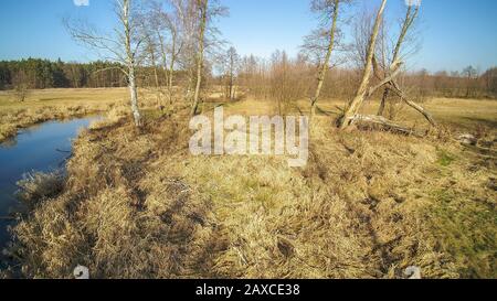 Kleine Fluss in Polen, die von der Sonne beleuchtet. Stockfoto