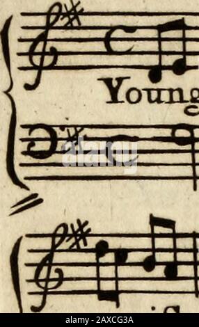 Orpheus Caledonius: Oder, EINE Sammlung von schottischen Liedern. . XXIX. 29:ou. Yoxing ThiLander vot&gt; d me Lane, Bxrt X - was. I) una Philander A?rwm&gt; mm -4- i INN£ P¥ M rbadliiivlwad^na tentiiis lov: - peeriili.andforba^luin^i-wrad^ia tentiiis lovin EK * ^PPF* S /J,Jiji)frf]^ • J.jijliwii*^Madiwii:^jiwii*^ Stockfoto