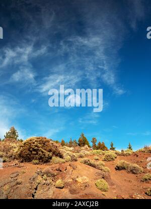 Teide National Park, felsiger Boden und schlechte Vegetation. Die Silhouette des Mondes am Himmel ist tagsüber sichtbar. Kanarische Inseln, Spanien Stockfoto