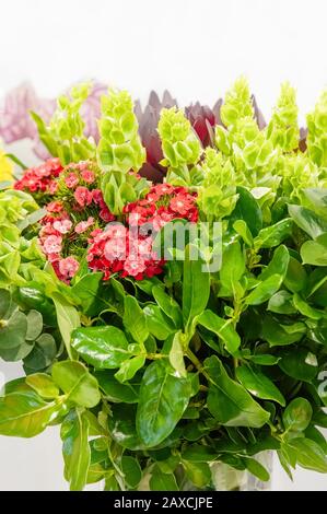 Ein wunderschöner Blumenstrauß mit frischen roten kleinen Nelken und grünen Pflanzen. Selektiver Fokus. Stockfoto