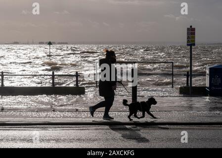 Hundewanderer, die mit Hund an einem überfluteten Gebiet vorbeilaufen, das von stürmischen Meeren des Sturms Ciara entlang der Western Esplanade, Southend on Sea, Essex, Großbritannien durchbrochen wird Stockfoto