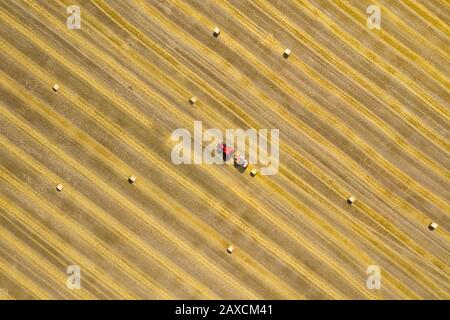 Draufsicht über die Heuschrecke, die zu Rundballen verarbeitet wird. Roter Traktor funktioniert auf dem Feld. Stockfoto