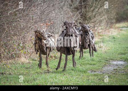 Sally Matthew's Herde von Swaledale Sheep. Hergestellt aus recyceltem Industrieschrott im Spen Valley Greenway Cycle Network. Stockfoto