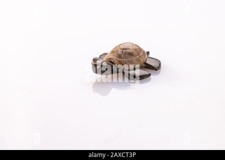 Eine kleine Schildkröte aus zwei Steinarten auf weißem Grund mit Spiegelung Stockfoto