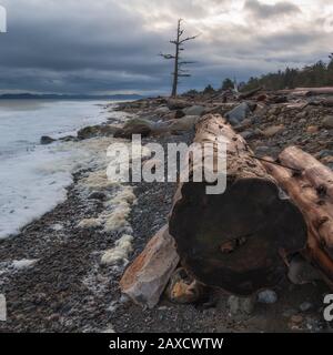 Am Kin Beach wurde das Log aufgespült. Stockfoto