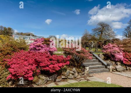 Bunte Gärten des Arlington Court North Devon Chichester Family Home National Trust House and Gardens Stockfoto