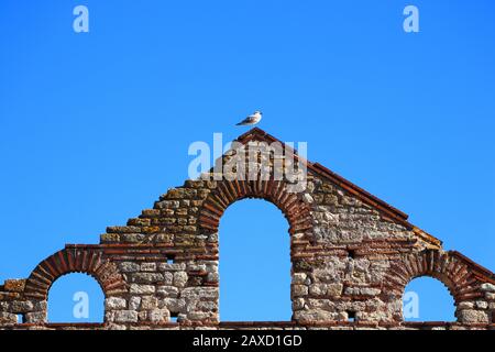 Möwe auf einem Teil der Ruine der Hagia Sophia Kirche in Nesebar Stockfoto