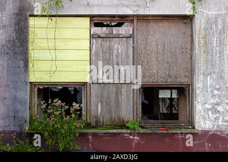 Detail eines verbarrikadierten Fensters mit zerbrochenem Glas, Holzplanken und wachsender Vegetation an der Fassade eines verlassenen Hauses in Trümmern Stockfoto