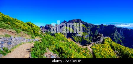 Schöner Wanderweg von Pico do Arieiro nach Pico Ruivo, Insel Madeira. Fußweg PR1 - Vereda do Areeiro. Am sonnigen Sommertag über den Wolken. Por Stockfoto