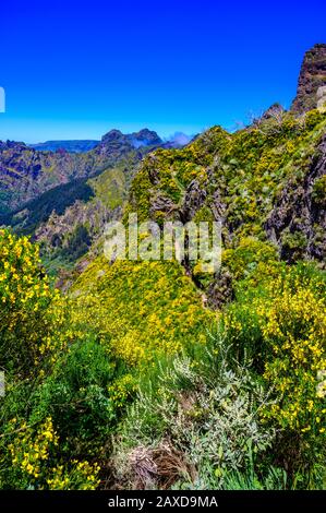 Schöner Wanderweg von Pico do Arieiro nach Pico Ruivo, Insel Madeira. Fußweg PR1 - Vereda do Areeiro. Am sonnigen Sommertag über den Wolken. Por Stockfoto