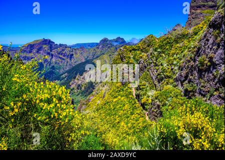 Schöner Wanderweg von Pico do Arieiro nach Pico Ruivo, Insel Madeira. Fußweg PR1 - Vereda do Areeiro. Am sonnigen Sommertag über den Wolken. Por Stockfoto