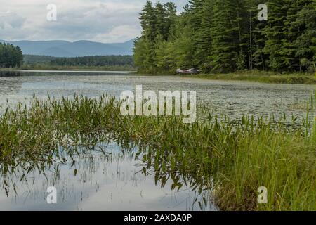 Klassische, malerische Aussicht auf MT Whiteface vom Moltonborough NH in der Region NH's Lakes. Stockfoto