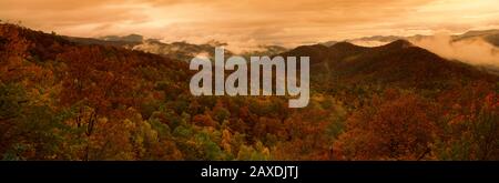 Trees in autumn, Black Rock Mountain State Park, Georgia, USA Stockfoto