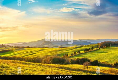 Volterra Panorama, sanfte Hügel, grüne Felder und weiße Straße. Toskana, Italien Europa. Stockfoto