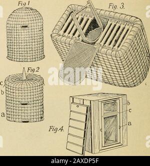 Das ist ein Beweis dafür, dass der Skep eher handlicher ist als der Com-Mon-Box-Hive, der in den erwähnten Beeren nicht bekannt ist. Es sollte auch berücksichtigt werden, dass Strohisone der besten isolierenden mA-Terials ist. Aber selbst der Imker, der durch die sorgfältige Verwaltung einen ernüchternden Tropfen Nektar bekommen kann, wäre auf der Stelle, da zu viel Honig in Wachs umgewandelt werden muss, was den guten Preis, den Hon-ey in Europa bringt, gleichmacht. Unter normalen Umständen nur wenige extensive Imker, die unter den SkepjDisten ausstellten, aber nur hier^die Excei. Im produktivsten Stockfoto