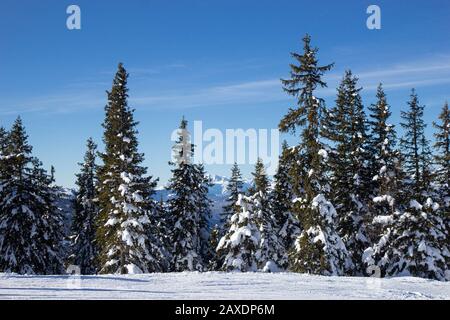 Schöner Blick auf das österreichische Skigebiet, die Dachsteinregion, die Alpen Stockfoto