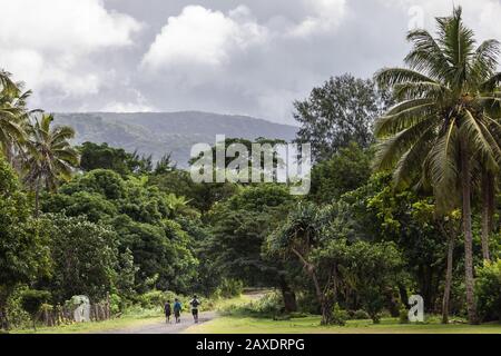 Jungen, die von der Schule gehen. Üppiger grüner tropischer Wald. Tanna Island, Vanuatu. Stockfoto