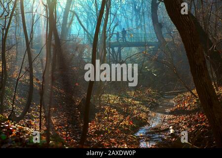 Fließender Bach im Quellpark Stockfoto