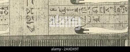 Papyrus funéraires de la XXIe Dynastie . ^^TIR -i -JNfV-M <F^ iSSî^S^ g^j^cgg^Tj r^V^J^^s^-^tc^H^^St jWlV^^^-^. Li^ 10 En •am 3k.> ARA Q. Pl. VIII Stockfoto