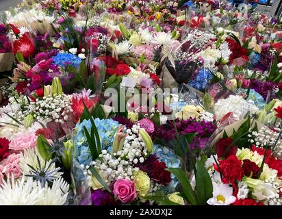 Mehrere Blumensträuße verschiedener Blumen in einem Lebensmittelgeschäft in Wasser warten darauf, dass ein Kunde sie kauft. Konzeptliebe, Romantik, Jubiläum, valentin Stockfoto