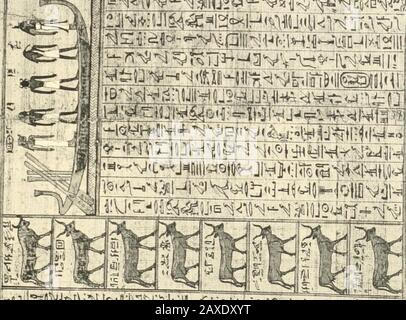 Papyrus funéraires de la XXIe Dynastie . C^^el-^V^Igr^ e&gt;[:i•! I-Uil II lif -J^ja"!"! - i. 3IIS;!:îlUHï^ Id? ^UBiy!)0^^-^, iOiaJ9^f ^^ Stockfoto