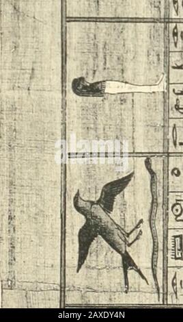 Papyrus funéraires de la XXIe Dynastie . T.^ V w ,;. itï- i OE- i k lw ^ > k 11 1 -? ? . - 1 W r:-rr-r--:---i- -j^. #jMvjij--i^^Rgiuiil"^ PF§5M^^lltfM!liffi^M ^^-R^-A>K5<s^4^^Jiiy^lga!i) mÉàtm Stockfoto