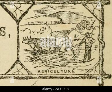 Vorträge über die Phrenologie, einschließlich ihrer Anwendung auf den gegenwärtigen und zukünftigen Zustand der Vereinigten Staaten . BITTE ADRESSE 70WLER AHD WEL! Nr. 389 BEOADWA.NEW YORK, U. g. A. Beitrittsnr Autor Combe, G.:Vorträge zur Phrenologie. [1840] Rufnr BF870 C6, 1.570 I. Stockfoto