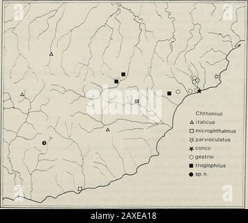 Annali del Museo civico di storia naturale Giacomo Doria. Stribuzione europea e forse maghrebina. giànota anche di cavità della Liguria centro-orientale, della Lombardia, dellaToscana e del Lazio ^Cardini, 1980;. Fauna Cavernicola ALPI LIGURI 225 Chthonius (s. str.) parvioculatus Beier, 1930XI Tana do Morto 102 Li/SV Specie troglobia nota, oltre che di questa stazione (Abb. 8), solo di pochecavità della Liguria centro-orientale e della Lombardia. Secondo Franciscolo (1955) probabilmente è da riferire a questa specieanche la popolazione della Grotta della Madonna dellArma 103 Li/im,citata com Stockfoto