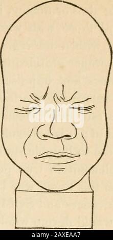 Vorträge über die Phrenologie, einschließlich ihrer Anwendung auf den gegenwärtigen und zukünftigen Zustand der Vereinigten Staaten . Liebe mich. Auf Wunsch, die von ihm eroberten Atown zu vernichten, antwortete er, Dass Die Freuden, die sich aus der gelebten Rache ergeben, nur einen Moment andauern; das, was aus der Barmherzigkeit fließt, ist ewig. Sehne hat eine schönste Manifestation davon exhibitiert, als er sagte, ich bin ein wahrer Franzose und liebe mein Land; aber ich liebe es besser als mein Land. Hobbes löst die Manifestation in Egoismus. Die Freude ist in der Tat, durch die verabredung des Schöpfers, eine Begleiterscheinung des Wohlwollens Stockfoto