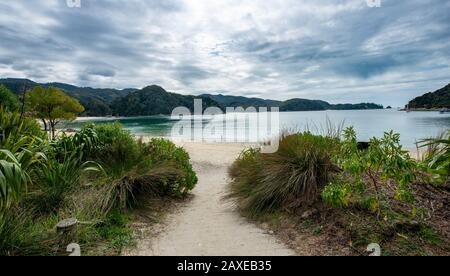 Strand, Anchorage Bay, Abel-Tasman-Nationalpark, Tasman, Südinsel, Neuseeland Stockfoto