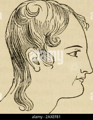 Vorträge über die Phrenologie, einschließlich ihrer Anwendung auf den gegenwärtigen und zukünftigen Zustand der Vereinigten Staaten . , zum gleichen Thema;* und weiter, um die Art von Beweis zu zeigen, auf dem wir uns unsere Überzeugung ruhen, die den Sitz dieses Organs betrifft, durch den die Liebe junger Menschen sehr überfüllt ist. Ich halte es für besser, die Beweise eines Organs ausführlich auszustellen, als promscu-ously einige der Beweise mehrerer anzuführen;-für ein Organ, das bewies, die grundlegenden Prinzipien der Phrenologie darstellten; und diese werden eingeführt, werden die Details ihren Weg zu den Überzeugungen von ebnen Stockfoto
