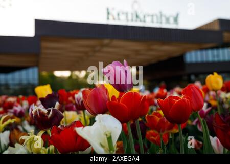 Eingang Keukenhof mit Tulpen im Vorderteil Stockfoto