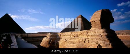 Sphinx vor einer Pyramide, Pyramiden, Giza, Kairo, Ägypten Stockfoto