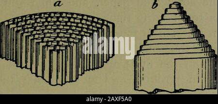 Pflanzen und ihre Wege in Südafrika . Eine Studie Von Blättern 53. JioseUe ^Abschnitt,) Abb. 6i. Stein Stockfoto