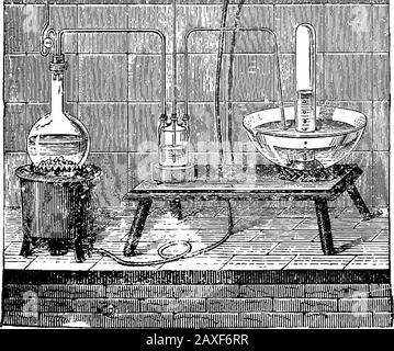 Wissenschaftliche Amusements . T i?J""^ - ?*-*?* ?= i J. Sj t ij *?^ A&gt; ^^&gt; g f ip^^^- 1^. Chlorsäure-Generation. Diese Säure wird in Sodaherstellern beschafft, und mit Salpetersäure wird Aqua regia, ein Lösungsmittel für Gold, genannt. Wenn Chlor und Wasserstoff in gleichen Ansätzen gemischt werden, explodieren sie im Sonnenlicht. Im Dunkeln oder bei Kerzenlicht sind sie harmlos. Trockenes Chlorgas kann durch Interpo.Sing eines Glases mit etwas Chlorid Kalzium verdorben werden. 94 CHEMIE. Das Gas ist schwerer als Luft (etwa 2i Mal), verdrängst sich im Kolben, und wenn es befüllt wird, kann ein anderes in der Position placedin sein. Stockfoto