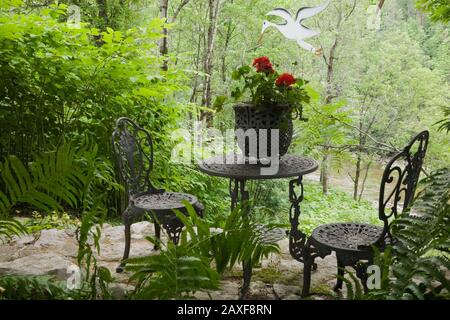 Dunkelgraue Bistro-Stühle aus Gusseisen und Tisch mit Pflanzmaschine aus rotem Pelargonium - Geranien und Pteridophyta - Farnpflanzen. Stockfoto