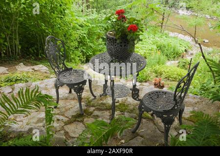 Dunkelgraue Bistro-Stühle aus Gusseisen und Tisch mit Pflanzmaschine aus rotem Pelargonium - Geranien und Pteridophyta - Farnpflanzen. Stockfoto