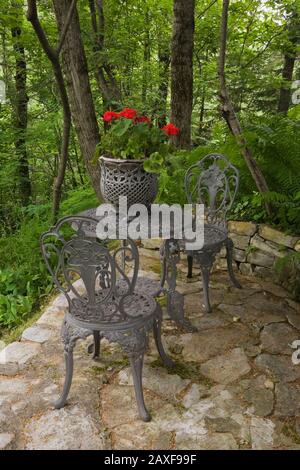 Dunkelgraue Bistro-Stühle aus Gusseisen und Tisch mit Pflanzmaschine aus rotem Pelargonium - Geranien und Pteridophyta - Farnpflanzen. Stockfoto