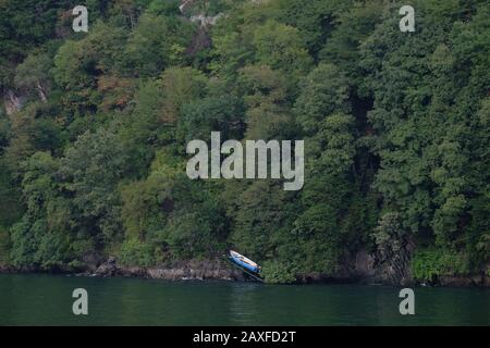 Schritte zu einem einsamen Reihenboot auf einer Wasserrutsche in einem Wald mit grünen Bäumen und Laub in der Nähe des Comer Sees Brienno, Lombardei Italien. Stockfoto