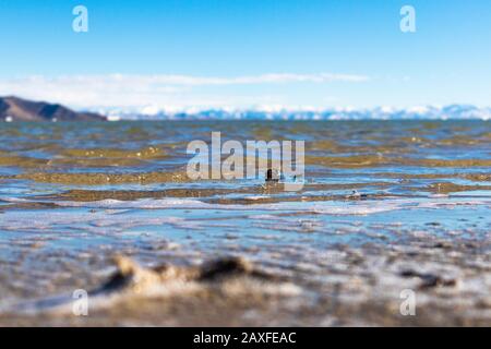 Blick über das Wasser auf die Berge Stockfoto