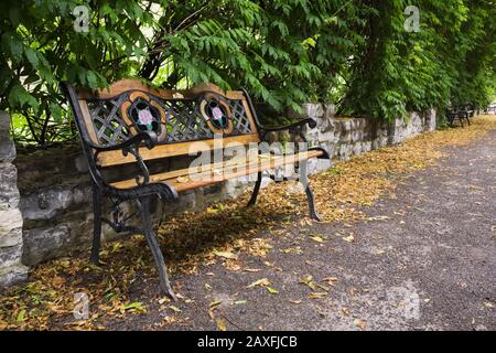 Sitzbank aus schwarzem Gusseisen aus Metall und Holz auf Kies Pfad begrenzt von Wisteria floribunda - Japanische Wisteria Kletterpflanzen Im Schatten Garten Stockfoto