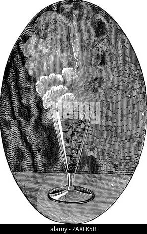 Wissenschaftliche Amusements . Pyrophores Eisen. Säuren. Wird Salpetersäure auf Eisennägel gegossen, wird ein roter, nitroter Dampf losgelassen, und das oxidierte Eisen wird in der Flüssigkeit in den Zustand von Nitrat von Eisen aufgelöst.Dieses Experiment ist sehr einfach durchzuführen, und es gibt eine Vorstellung von der Energie bestimmter chemischer Handlungen. Wir haben uns bemüht, sein Aussehen auf Seite 25 darzustellen. Die Schaumbildung von Salpetersäure wirkt nicht auf Eisen und verhindert, dass sie von Ot-Dinary-NitHb-Säure angegriffen wird. Diese Eigenschaft hat SALPETERSÄURE. 25 aufgrund eines bemerkenswerten Experiments an Passiveiron. Es besteht darin, einige zu platzieren Stockfoto