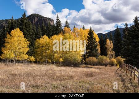 Cimarrona Campground liegt nördlich von Pagosa Springs Colorado. Wanderwege führen vom Campground in die Weminuche Wilderness. Stockfoto