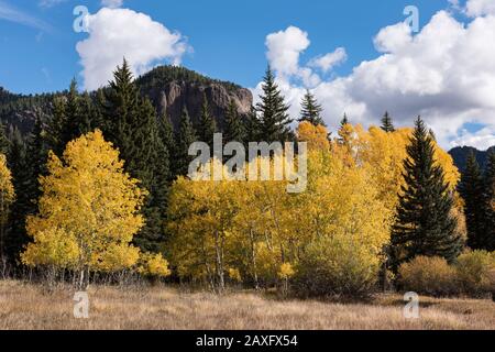 Cimarrona Campground liegt nördlich von Pagosa Springs Colorado. Wanderwege führen vom Campground in die Weminuche Wilderness. Stockfoto